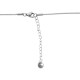 Collar de Acero Inoxidable con Cierre 75 cm y 5 cm