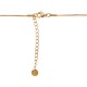 Collar de Acero Inoxidable con Cierre 75 cm y 5 cm