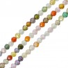 Multicolore
