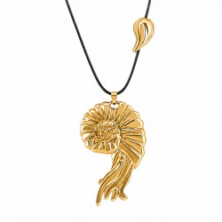 Collar Con Concha En Espiral De Metal Dorado Sobre Cordón Negro