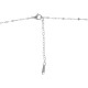Collar de Acero Inoxidable 304 40+5cm