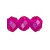 Fuschia