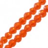Vibrant Orange