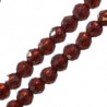 Dark Red Siam