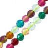 Multicolore