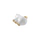 Enameled Stainless Steel 304 Charm Bear 17x13mm