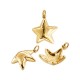 Stainless Steel 304 Charm Star 13x15mm