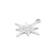 Zamak Pendant North Star 20x23mm/3mm