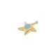 Charm Étoile de Mer en Zamak Émaillé 22 x 21 mm/5 mm Ø 2.2 mm