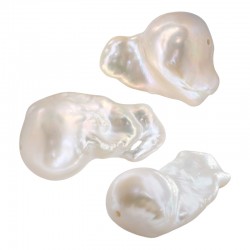 Fresh Water Pearl Bead Irregular 16x24mm Ø0.8mm
