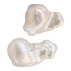 Fresh Water Pearl Bead Irregular 16x24mm Ø0.8mm
