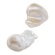 Fresh Water Pearl Bead Irregular 16x24mm Ø0.8mm