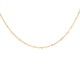 Stainless Steel 304 Necklace with Chain 45cm