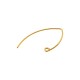 Crochet pour Boucle d'Oreille en Acier Inoxydable 304, 33 mm / 0,7 mm