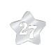 Plexi Acrylic Lucky Pendant Star "27" 60mm Ø2.8mm