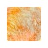Orange/Multi colour