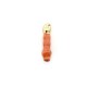 Coral Pendant Tooth 15x50mm with Brass Cap