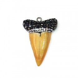 Pendant Sharks Tooth with Strass