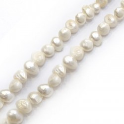 Fresh Water Pearl Bead (~11mm) (Ø1.5mm) (~36pcs/string)