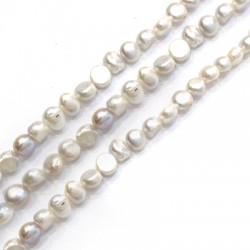 Fresh Water Pearl Bead Irregular (~8x9mm) (~43pcs/string)