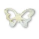 Shell Butterfly 33x53 / 2,5mm