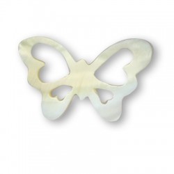 Shell Butterfly 33x53 / 2,5mm