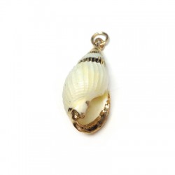 Shell Pendant with Metal  (~11x23mm)