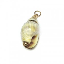 Shell Pendant with Metal  (~12x26mm)