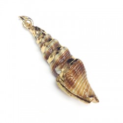 Shell Pendant with Metal  (~9x32mm)