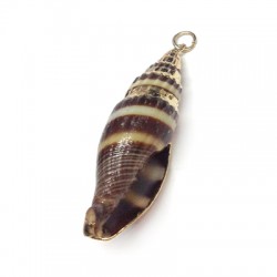 Shell Pendant with Metal  (~15x52mm)