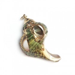 Shell Pendant with Metal  (~24x38mm)