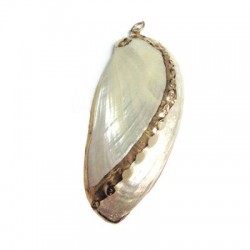 Shell Pendant with Metal  (~32x73mm)
