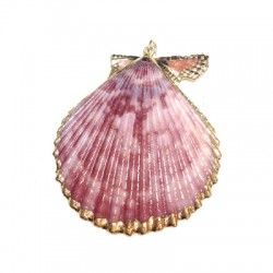 Shell Pendant with Metal  (~51x58mm)