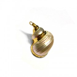 Shell Pendant with Metal (~20x30mm)
