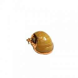 Shell Pendant with Metal (~15x19mm)