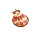 Shell Pendant with Metal (~38x40mm)