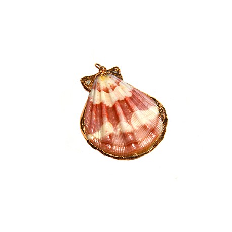 Shell Pendant with Metal (~38x40mm)