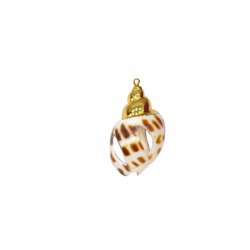 Sea Shell Pendant Plated (~20x30mm)