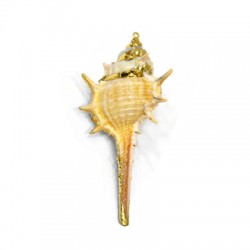 Sea Shell Pendant Plated (~30x60mm)