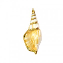 Sea Shell Pendant Plated (~25x60mm)