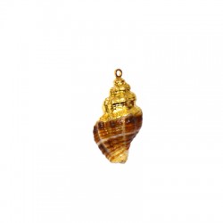 Sea Shell Pendant Plated (~17x30mm)