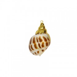 Sea Shell Pendant Plated (~25x35mm)