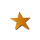 Estrella de Cuero 55mm