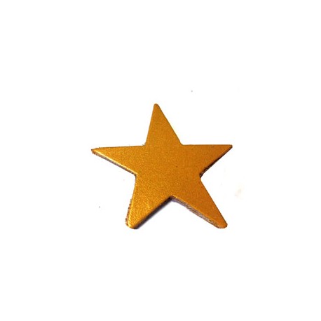 Leather Star 55mm