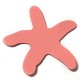 Leather Starfish 65mm