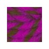 Fuchsia Foncé