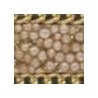 Beige/Electro Gold