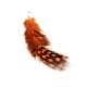 Feather Spots 70-120mm