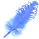 Feather  ~15-20cm (mixed sizes)