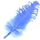 Feather 15-20cm
